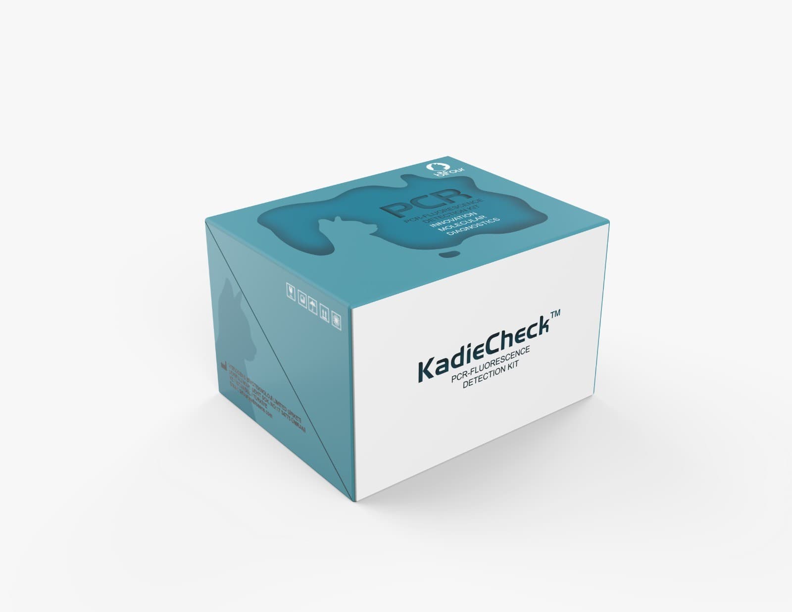 PCR Detección Respiratoria canina Caja con 4 pruebas BFV052
